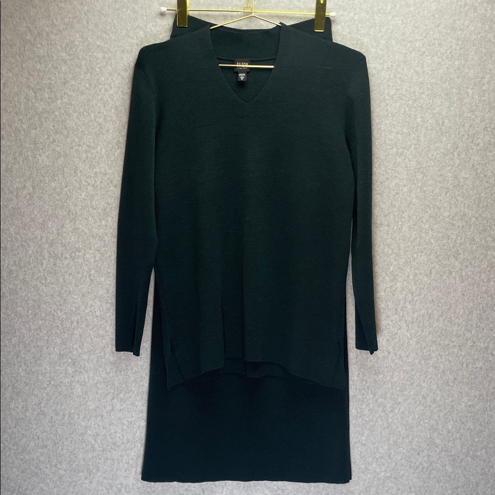 Eileen Fisher Wool Maxi Skirt/Long Sleeve Set in Green Lagenlook Minimalist